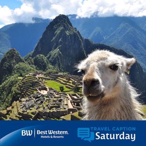Image post by @bestwestern on Instagram