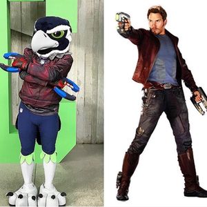 Image post by @blitztheseahawk on Instagram