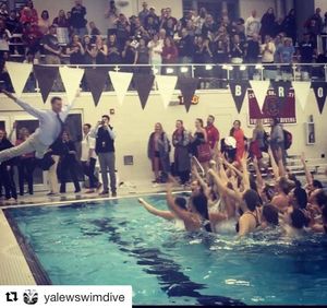 Image post by @yalevolleyball on Instagram