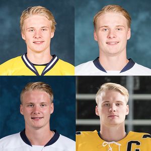 Image post by @umichhockey on Instagram