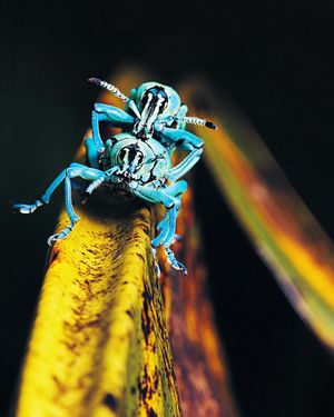 Image post by @discovery on Instagram