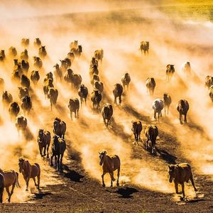 Image post by @gettyimages on Instagram