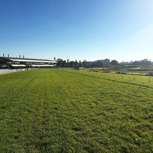 Image post by @australianturfclub on Instagram
