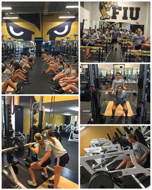 Image post by @fiusoftball on Instagram