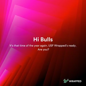 Image post by @usouthflorida on Instagram