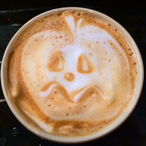 Image post by @lepainquotidienus on Instagram