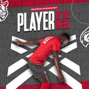Image post by @iwuwildcats on Instagram