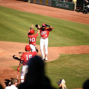 Image post by @louisvillebats on Instagram