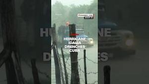 Video post by @cnn on YouTube