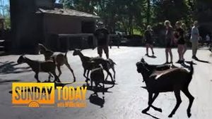 Video post by @today on YouTube