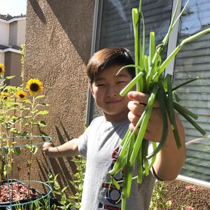 Image post by @kidsgardening on Instagram