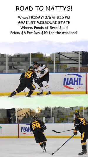Image post by @clubhockeyuwm on Twitter