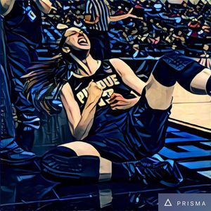 Image post by @purduewbb on Instagram