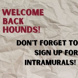 Image post by @uindyintramurals on Instagram