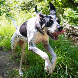 Image post by @jonathn_roberts on Instagram