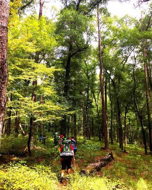 Image post by @outdoorsfsu on Instagram