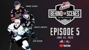 Video post by @whl on YouTube