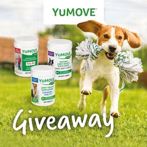 Image post by @yumove_usa on Instagram