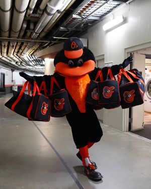 Image post by @OrioleBird on Twitter