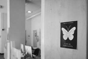 Image post by @sffoghorn on Instagram