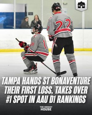 Image post by @hockeyhousepod on Instagram