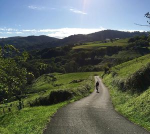 Image post by @bikerumor on Instagram