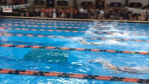 Image post by @brownu_wswimdive on Instagram
