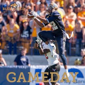 Image post by @montanastatebobcats on Instagram