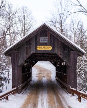 Image post by @samtrombinophotography on Instagram