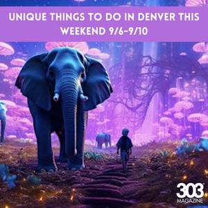 Image post by @303magazine on Instagram