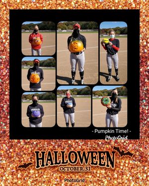 Image post by @bradleysoftball on Instagram