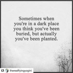 Image post by @lifesadiscoball on Instagram