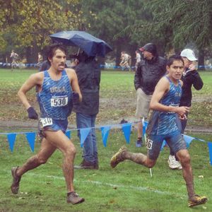Image post by @uclaxc on Instagram
