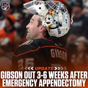 Image post by @puckreportnhl on Instagram