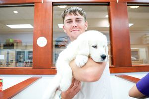 Image post by @kstatesports on Twitter