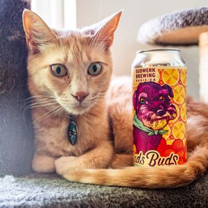 Image post by @sudwerkbrew on Instagram