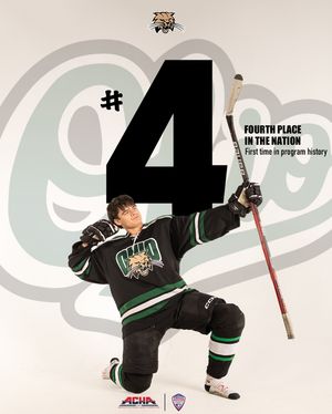 Image post by @ohiohockeyd2 on Instagram