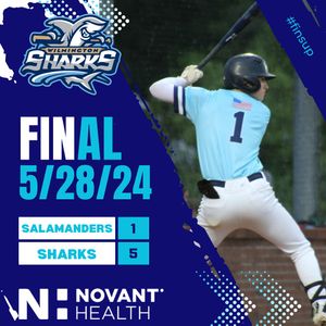 Image post by @ilmsharks on Instagram