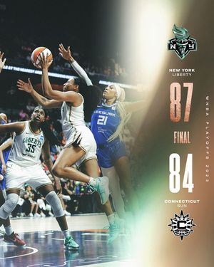 Image post by @nyliberty on Instagram