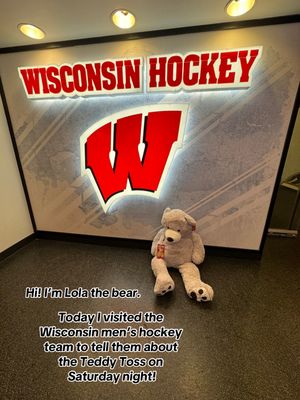 Video post by @badgermhockey on TikTok