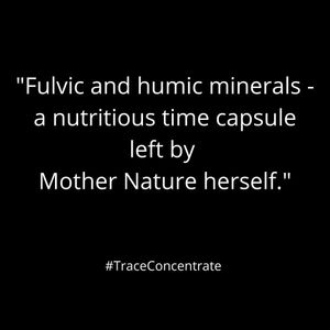 Image post by @mytracewellness on Instagram
