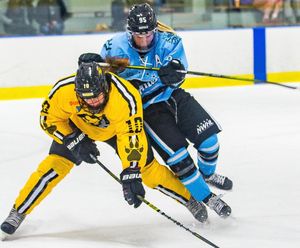 Image post by @buffalobeauts on Instagram