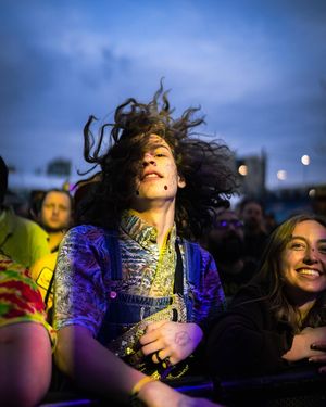 Image post by @treefortfest on Instagram