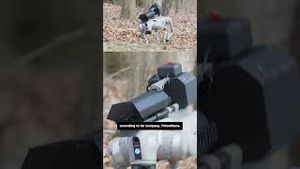 Video post by @cnn on YouTube