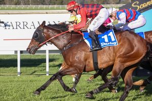 Image post by @gundyparkequine on Instagram