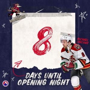 Image post by @theahl on Instagram