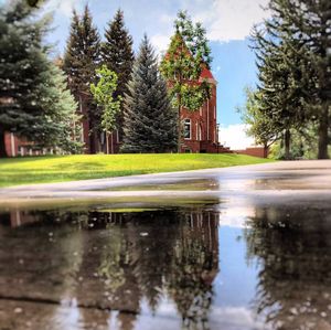 Image post by @nauflagstaff on Instagram