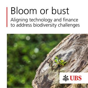 Image post by @ubs on Instagram