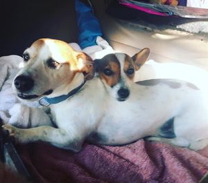 Image post by @snaffle_it on Instagram