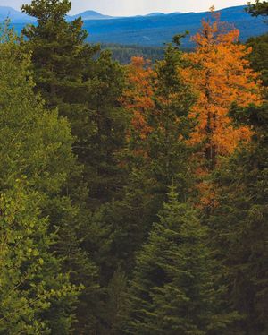 Image post by @nauflagstaff on Instagram